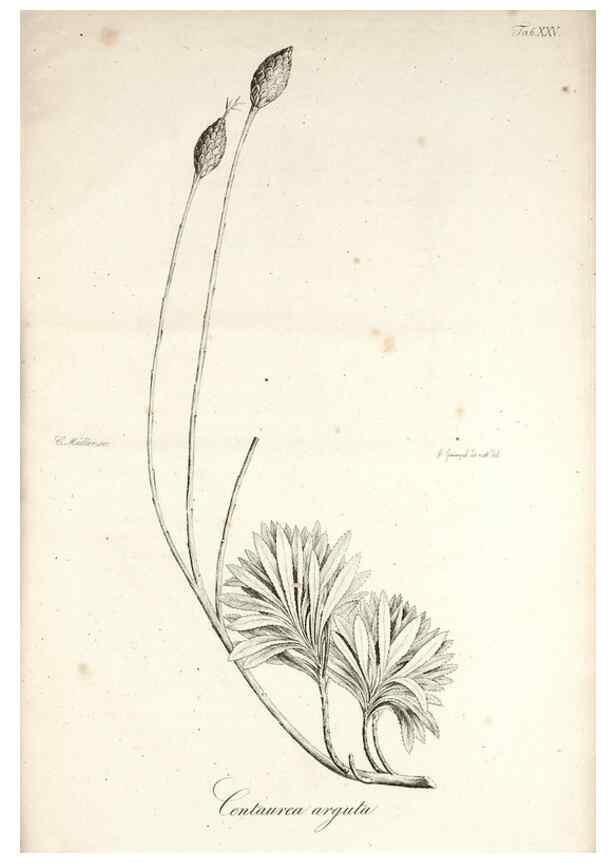 Reproducción/Reproduction 49578982691: Horae physicae Berolinenses :. Bonnae :Adolphi Marcus,1820.. 