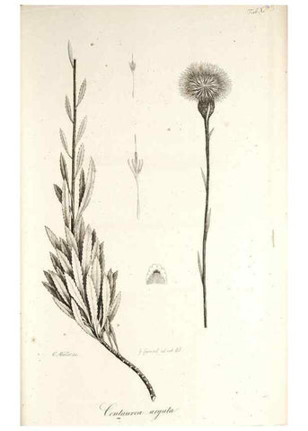 Reproducción/Reproduction 49579210127: Horae physicae Berolinenses :. Bonnae :Adolphi Marcus,1820.. 