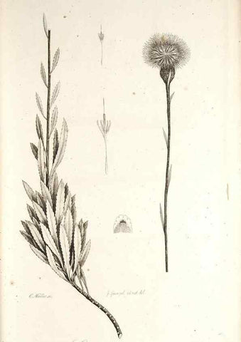 Reproducción/Reproduction 49579210127: Horae physicae Berolinenses :. Bonnae :Adolphi Marcus,1820.. 