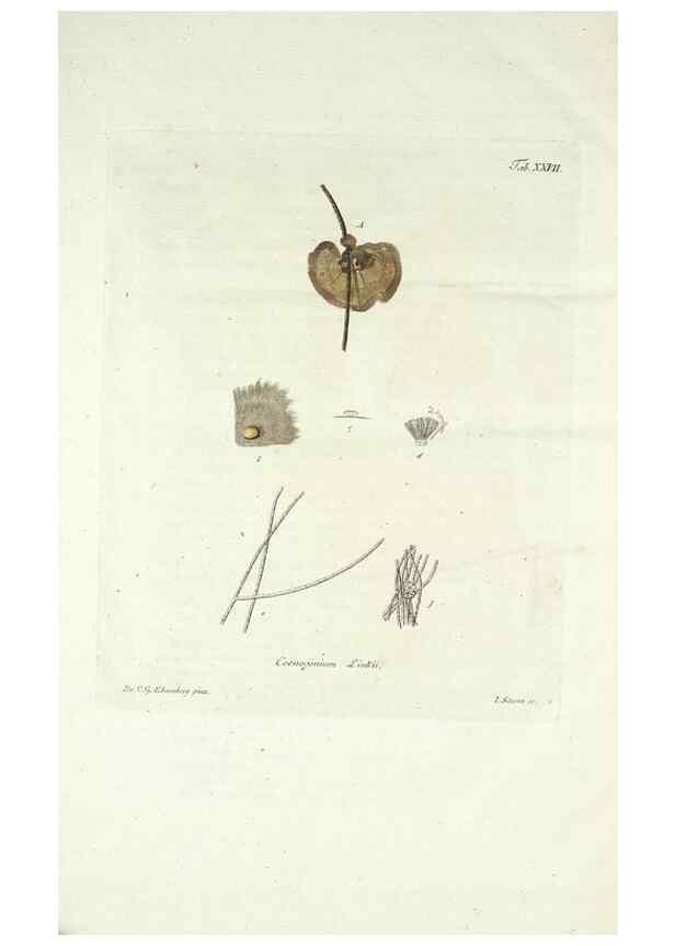 Reproducción/Reproduction 49578983161: Horae physicae Berolinenses :. Bonnae :Adolphi Marcus,1820.. 