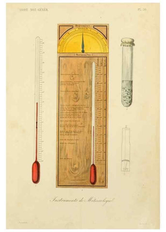 Reproducción/Reproduction 49583710016: Le Règne végétal;. Paris,L. Guérin,1870-72.. 