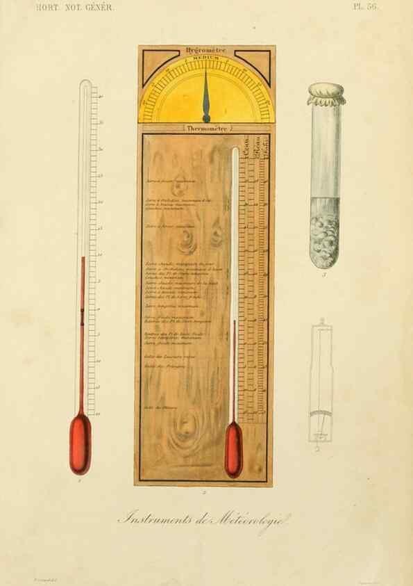Reproducción/Reproduction 49583710016: Le Règne végétal;. Paris,L. Guérin,1870-72.. 