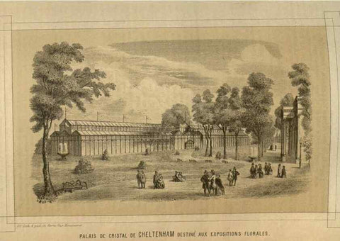Reproducción/Reproduction 49584061502: Flore des serres et des jardins de l'Europe. A Gand :chez Louis van Houtte, eÌditeur,1845-1880.. 