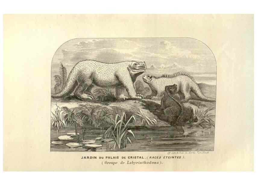 Reproducción/Reproduction 49584122472: Flore des serres et des jardins de l'Europe. A Gand :chez Louis van Houtte, eÌditeur,1845-1880.. 