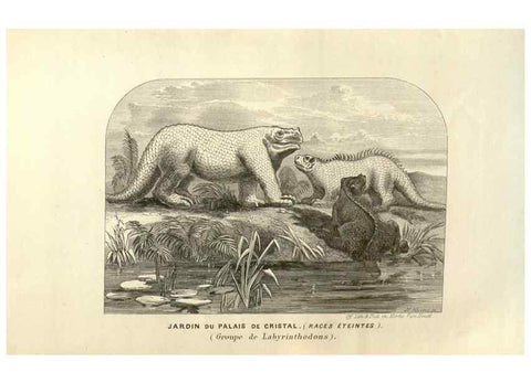 Reproducción/Reproduction 49584122472: Flore des serres et des jardins de l'Europe. A Gand :chez Louis van Houtte, eÌditeur,1845-1880.. 
