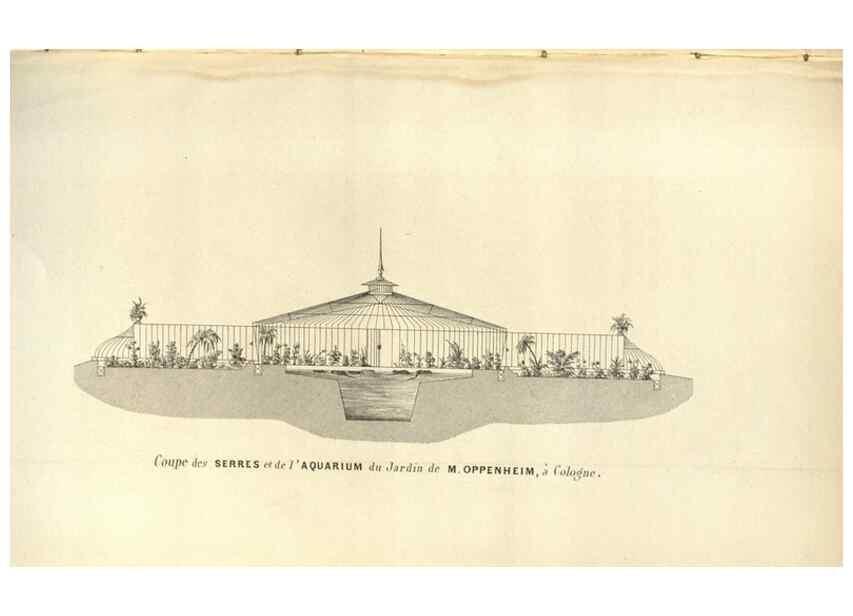 Reproducción/Reproduction 49583840151: Flore des serres et des jardins de l'Europe. A Gand :chez Louis van Houtte, eÌditeur,1845-1880.. 