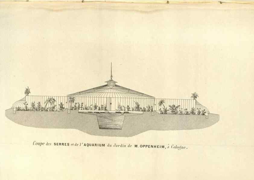 Reproducción/Reproduction 49583840151: Flore des serres et des jardins de l'Europe. A Gand :chez Louis van Houtte, eÌditeur,1845-1880.. 