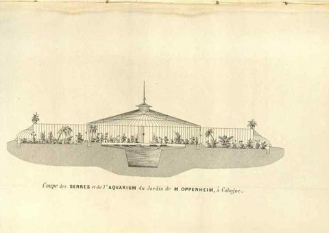 Reproducción/Reproduction 49583840151: Flore des serres et des jardins de l'Europe. A Gand :chez Louis van Houtte, eÌditeur,1845-1880.. 
