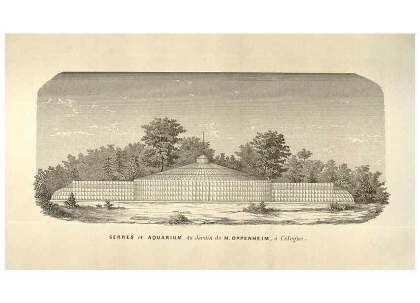 Reproducción/Reproduction 49584073557: Flore des serres et des jardins de l'Europe. A Gand :chez Louis van Houtte, eÌditeur,1845-1880.. 