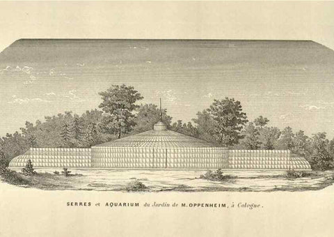 Reproducción/Reproduction 49584073557: Flore des serres et des jardins de l'Europe. A Gand :chez Louis van Houtte, eÌditeur,1845-1880.. 