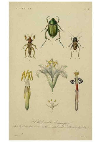 Reproducción/Reproduction 49583193386: Le Règne végétal;. Paris,L. Guérin,1870-72.. 