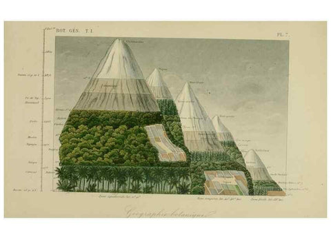 Reproducción/Reproduction 49582696118: Le Règne végétal;. Paris,L. Guérin,1870-72.. 