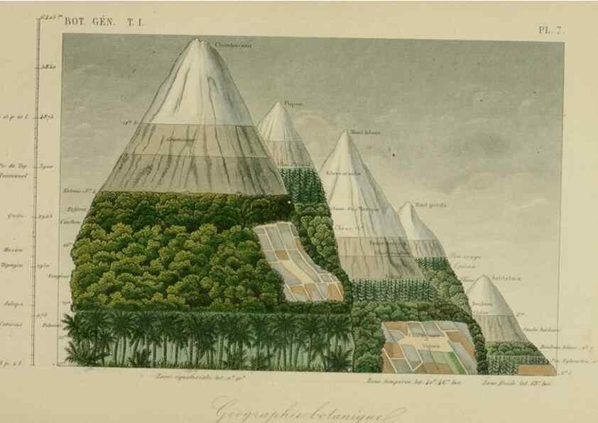 Reproducción/Reproduction 49582696118: Le Règne végétal;. Paris,L. Guérin,1870-72.. 