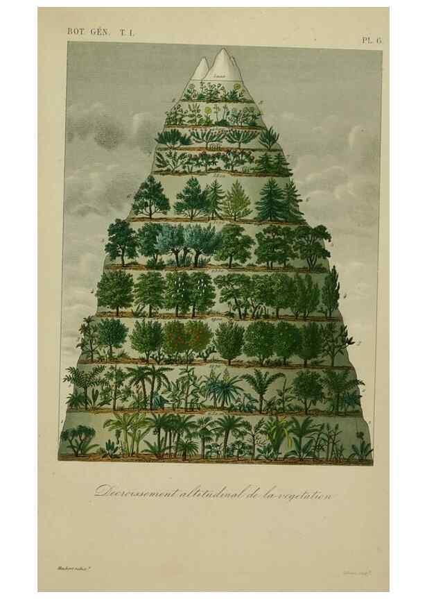 Reproducción/Reproduction 49583191961: Le Règne végétal;. Paris,L. Guérin,1870-72.. 