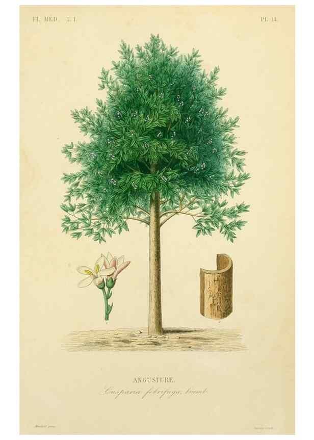 Reproducción/Reproduction 49583749462: Le Règne végétal;. Paris,L. Guérin,1870-72.. 