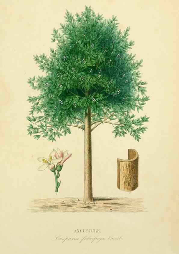 Reproducción/Reproduction 49583749462: Le Règne végétal;. Paris,L. Guérin,1870-72.. 