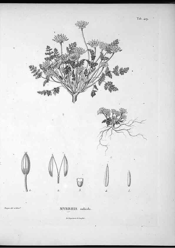 Reproducción/Reproduction 49556078428: Nova genera et species plantarum :. Antverpiae :Ex officina Christophori Plantini ...,1576.. 