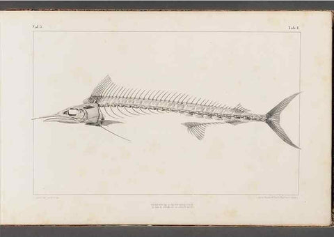 Reproducción/Reproduction 49639767103: Recherches sur les poissons fossiles ... /. Neuchatel :Petitpierre,1833-43.. 