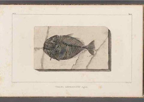 Reproducción/Reproduction 49639771073: Recherches sur les poissons fossiles ... /. Neuchatel :Petitpierre,1833-43.. 