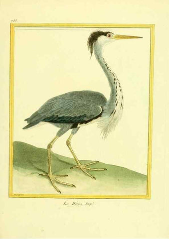 Reproducción/Reproduction 49640414427: Planches enluminées d'histoire naturelle. Paris? :s.n.,1765-1783?. 