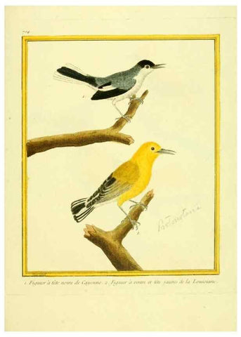 Reproducción/Reproduction 49640128531: Planches enluminées d'histoire naturelle. Paris? :s.n.,1765-1783?. 