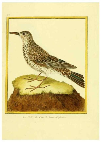 Reproducción/Reproduction 49639606583: Planches enluminées d'histoire naturelle. Paris? :s.n.,1765-1783?. 