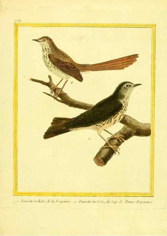 Reproducción/Reproduction 49640413732: Planches enluminées d'histoire naturelle. Paris? :s.n.,1765-1783?. 