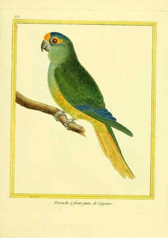 Reproducción/Reproduction 49640732322: Planches enluminées d'histoire naturelle. Paris? :s.n.,1765-1783?. 