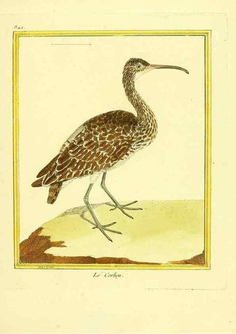 Reproducción/Reproduction 49639938463: Planches enluminées d'histoire naturelle. Paris? :s.n.,1765-1783?. 