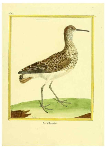 Reproducción/Reproduction 49639938983: Planches enluminées d'histoire naturelle. Paris? :s.n.,1765-1783?. 