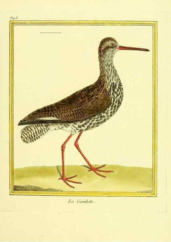 Reproducción/Reproduction 49640462256: Planches enluminées d'histoire naturelle. Paris? :s.n.,1765-1783?. 