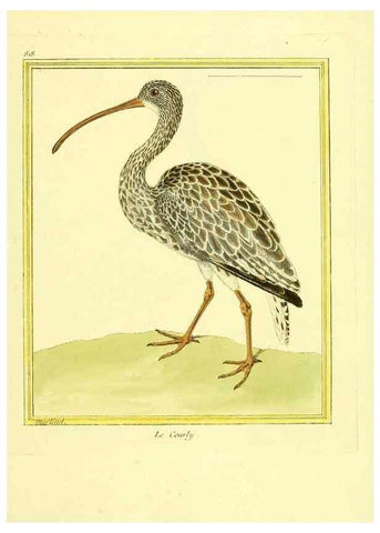 Reproducción/Reproduction 49639929268: Planches enluminées d'histoire naturelle. Paris? :s.n.,1765-1783?. 