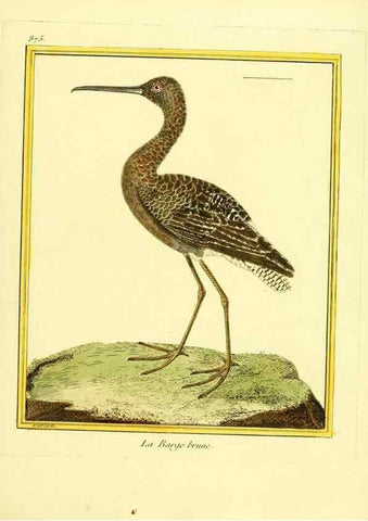Reproducción/Reproduction 49640744547: Planches enluminées d'histoire naturelle. Paris? :s.n.,1765-1783?. 