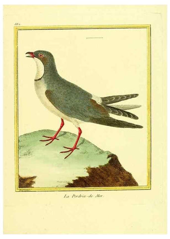 Reproducción/Reproduction 49640747032: Planches enluminées d'histoire naturelle. Paris? :s.n.,1765-1783?. 