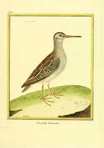 Reproducción/Reproduction 49639951938: Planches enluminées d'histoire naturelle. Paris? :s.n.,1765-1783?. 