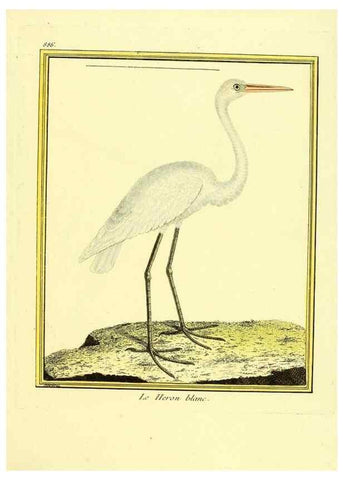 Reproducción/Reproduction 49639952533: Planches enluminées d'histoire naturelle. Paris? :s.n.,1765-1783?. 