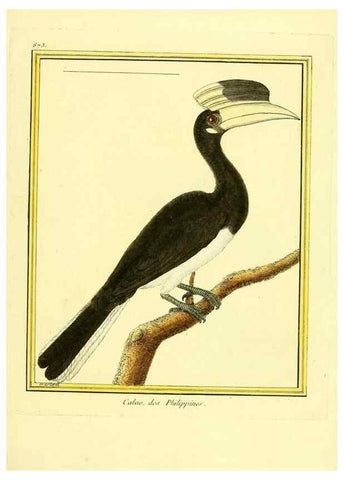 Reproducción/Reproduction 49640471351: Planches enluminées d'histoire naturelle. Paris? :s.n.,1765-1783?. 
