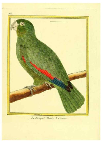 Reproducción/Reproduction 49640739822: Planches enluminées d'histoire naturelle. Paris? :s.n.,1765-1783?. 