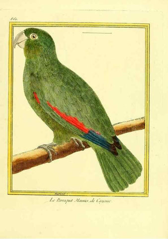 Reproducción/Reproduction 49640739822: Planches enluminées d'histoire naturelle. Paris? :s.n.,1765-1783?. 
