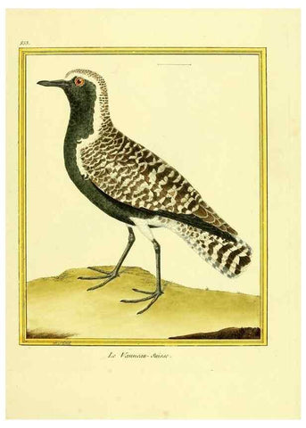 Reproducción/Reproduction 49639941778: Planches enluminées d'histoire naturelle. Paris? :s.n.,1765-1783?. 