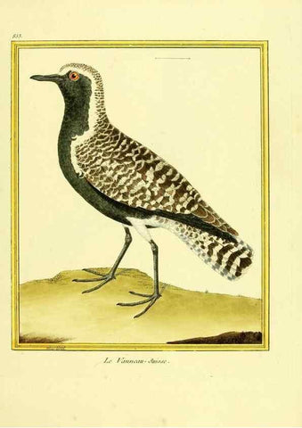 Reproducción/Reproduction 49639941778: Planches enluminées d'histoire naturelle. Paris? :s.n.,1765-1783?. 