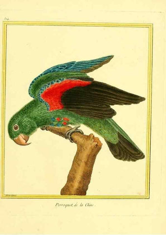 Reproducción/Reproduction 49640009206: Planches enluminées d'histoire naturelle. Paris? :s.n.,1765-1783?. 