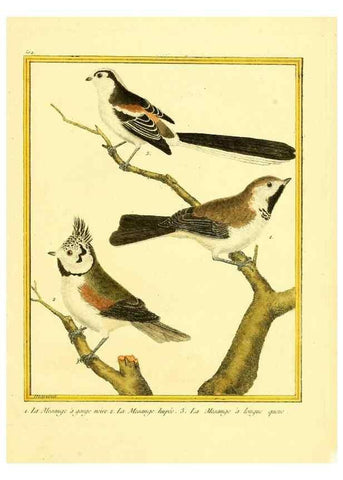 Reproducción/Reproduction 49640279757: Planches enluminées d'histoire naturelle. Paris? :s.n.,1765-1783?. 
