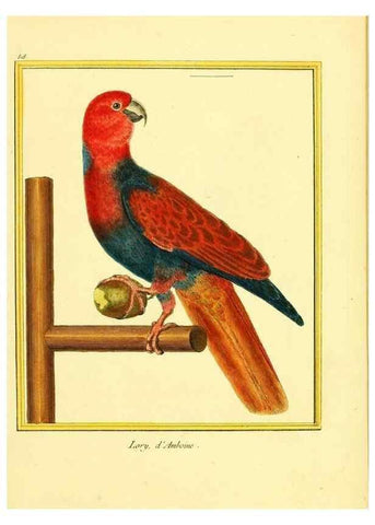 Reproducción/Reproduction 49640283492: Planches enluminées d'histoire naturelle. Paris? :s.n.,1765-1783?. 