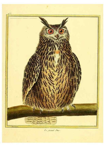 Reproducción/Reproduction 49639829791: Planches enluminées d'histoire naturelle. Paris? :s.n.,1765-1783?. 