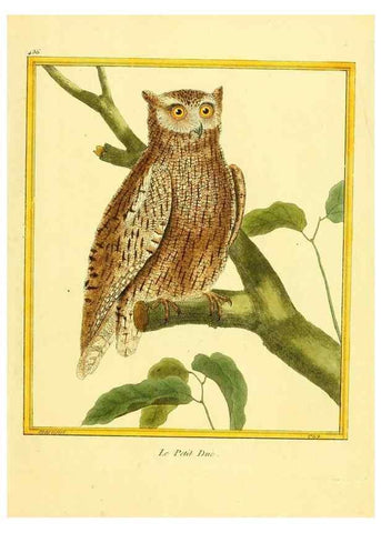 Reproducción/Reproduction 49640102742: Planches enluminées d'histoire naturelle. Paris? :s.n.,1765-1783?. 