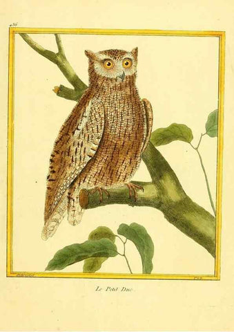Reproducción/Reproduction 49640102742: Planches enluminées d'histoire naturelle. Paris? :s.n.,1765-1783?. 