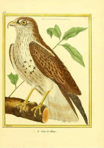 Reproducción/Reproduction 49640095872: Planches enluminées d'histoire naturelle. Paris? :s.n.,1765-1783?. 