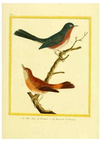 Reproducción/Reproduction 49639575313: Planches enluminées d'histoire naturelle. Paris? :s.n.,1765-1783?. 