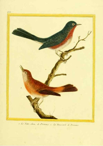 Reproducción/Reproduction 49639575313: Planches enluminées d'histoire naturelle. Paris? :s.n.,1765-1783?. 